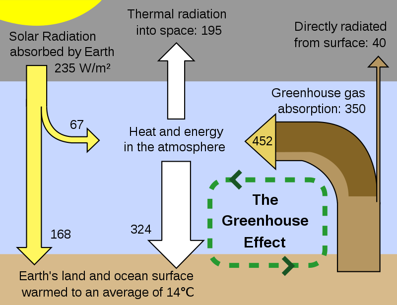 Effect of Greenhouse