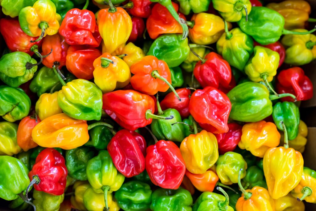 What is The Hottest Pepper in The World From Mild to Wild