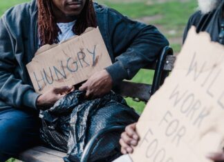 World needs four times more investment in clean fuel to meet climate goals: WEF World needs four times more investment in clean fuel to meet climate goals: WEF