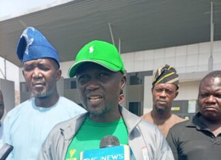 I intend to replicate in Plateau what I learnt from Morroco I intend to replicate in Plateau what I learnt from Morroco