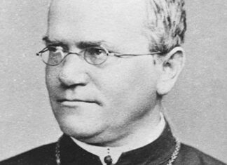 The monk who discovered the laws of genetics—but was overlooked in his time The monk who discovered the laws of genetics—but was overlooked in his time