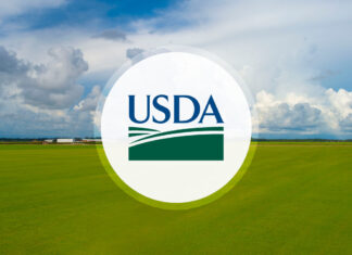 USDA Launches Lender Lens Dashboard to Promote Data Transparency USDA Launches Lender Lens Dashboard to Promote Data Transparency