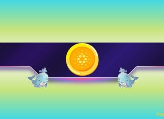210,000,000 ADA Bought in 3 Weeks: What Do Cardano Whales Know? 210,000,000 ADA Bought in 3 Weeks: What Do Cardano Whales Know?