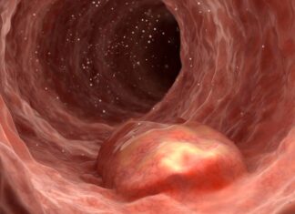 Barnacle gloop could improve inflammatory bowel disease treatments Barnacle gloop could improve inflammatory bowel disease treatments