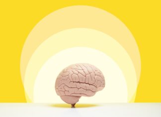 New brain training study could help explain the placebo effect New brain training study could help explain the placebo effect