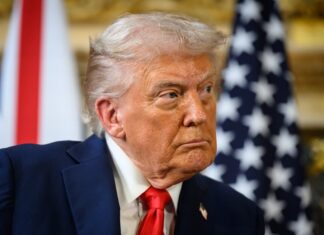 Trump’s tariffs would cause higher prices and less choice on UK supermarket shelves, supply chain expert warns Trump’s tariffs would cause higher prices and less choice on UK supermarket shelves, supply chain expert warns