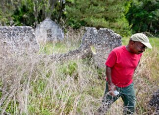 Slave descendants take a fight to protect their Georgia island homes to voters Slave descendants take a fight to protect their Georgia island homes to voters