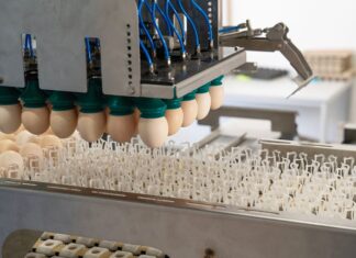 Start-up: Dieses Münchener Unternehmen findet die perfekte Avocado – mit MRT-Technologie Start-up: Dieses Münchener Unternehmen findet die perfekte Avocado – mit MRT-Technologie