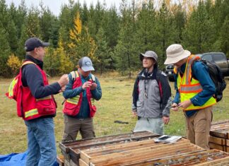 Inomin Mines verifies district-scale potential of Beaver-Lynx Polymetallic Project, British Columbia Inomin Mines verifies district-scale potential of Beaver-Lynx Polymetallic Project, British Columbia