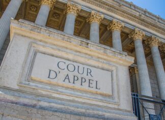 Violences au parloir : une peine d’un an de prison confirmée en appel pour Nordahl Lelandais Violences au parloir : une peine d’un an de prison confirmée en appel pour Nordahl Lelandais