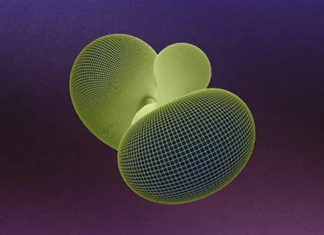 Two Twisty Shapes Resolve a Centuries-Old Topology Puzzle Two Twisty Shapes Resolve a Centuries-Old Topology Puzzle