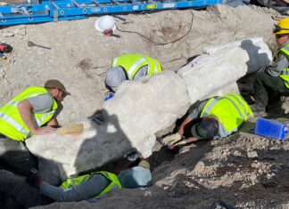 Dinosaur bones found underneath parking lot in Dinosaur, Colorado Dinosaur bones found underneath parking lot in Dinosaur, Colorado