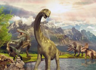 De ce a fost extincția dinozaurilor mai bruscă decât se credea? De ce a fost extincția dinozaurilor mai bruscă decât se credea?