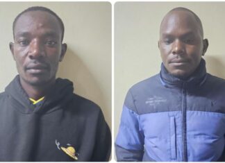 How Fraudsters Used Social Media to Sell Fake KCSE 2025 Results Slips How Fraudsters Used Social Media to Sell Fake KCSE 2025 Results Slips