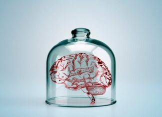Can a ‘brain in a vat’ be conscious? Can a ‘brain in a vat’ be conscious?