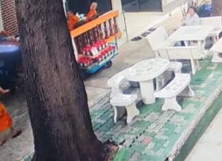 Buddhist monk, 62, calmly asks for help as wild python strangles him, Asia News Buddhist monk, 62, calmly asks for help as wild python strangles him, Asia News