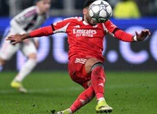 Pavlidis, um espelho do que nasce torto e nunca se endireita Pavlidis, um espelho do que nasce torto e nunca se endireita