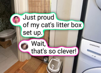 18 People Who Proved You Don’t Need a Designer to Transform Your Home 18 People Who Proved You Don’t Need a Designer to Transform Your Home