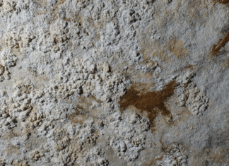 World’s oldest-known rock art found in Indonesian cave World’s oldest-known rock art found in Indonesian cave