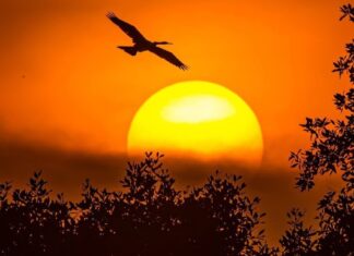 Cảnh báo bão mặt trời liên tục tấn công: Hôm nay 22.1, Việt Nam có bị ảnh hưởng? Cảnh báo bão mặt trời liên tục tấn công: Hôm nay 22.1, Việt Nam có bị ảnh hưởng?