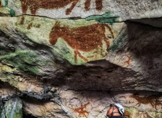 The world’s oldest rock art discovered in Indonesia The world’s oldest rock art discovered in Indonesia