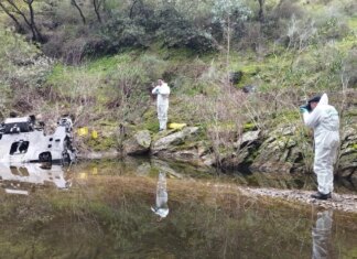 Martín Perea, experto en transportes, sobre la causa del accidente de Adamuz: “En este momento no estamos seguros de nada” Martín Perea, experto en transportes, sobre la causa del accidente de Adamuz: “En este momento no estamos seguros de nada”