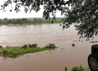DA accuses Mpumalanga of infrastructure neglect as floods collapse bridges DA accuses Mpumalanga of infrastructure neglect as floods collapse bridges