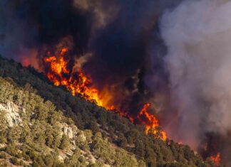 Get Early Alerts With These Top Fire Map Apps of 2026 Get Early Alerts With These Top Fire Map Apps of 2026