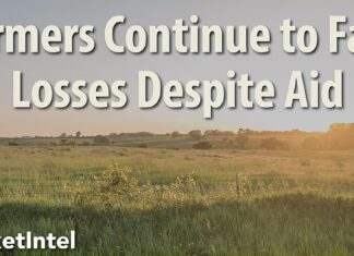 Significant US farm losses persist, despite federal assistance Significant US farm losses persist, despite federal assistance
