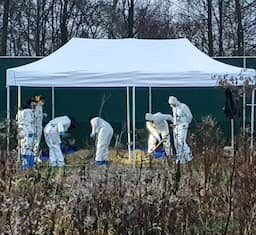 NFI kan fatale overdosis morfine nu ook opsporen bij wie al maanden dood is NFI kan fatale overdosis morfine nu ook opsporen bij wie al maanden dood is