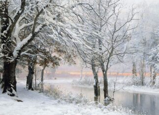 Can Trees Explode in Extreme Cold? Learn About the Exploding Trees Rumor This Winter Can Trees Explode in Extreme Cold? Learn About the Exploding Trees Rumor This Winter