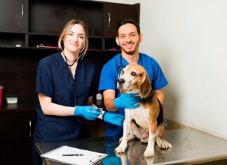 Ya existe una plataforma aliada para veterinarios Ya existe una plataforma aliada para veterinarios