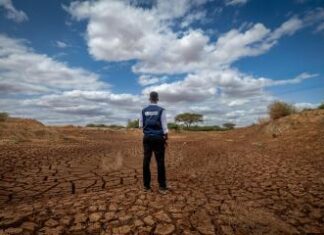 Drought leaves over two million vulnerable to health and nutrition crises in Kenya Drought leaves over two million vulnerable to health and nutrition crises in Kenya