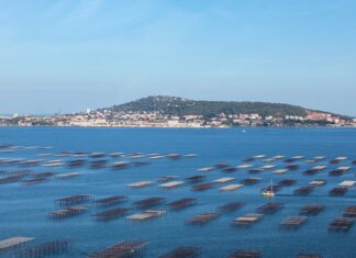 L’étang de Thau fermé un mois de plus : Agglo de Sète, Département et Région mobilisent plus de 20 M d’euros pour aider la filière conchylicole L’étang de Thau fermé un mois de plus : Agglo de Sète, Département et Région mobilisent plus de 20 M d’euros pour aider la filière conchylicole