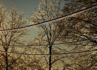 Ice may be more hazardous than snow this weekend. What to expect and how to prepare Ice may be more hazardous than snow this weekend. What to expect and how to prepare