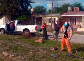 Servicios Urbanos de la Capital desmalezó los espacios verdes de los barrios Reconquista e Independencia Servicios Urbanos de la Capital desmalezó los espacios verdes de los barrios Reconquista e Independencia