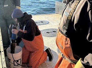 How Oysters Are Impacted By Environmental Conditions and Farming Practices How Oysters Are Impacted By Environmental Conditions and Farming Practices