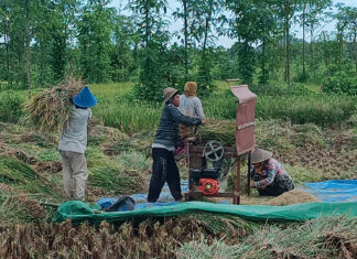 Genjot Cetak 20 Ribu Ha Sawah Baru, Pemprov Kaltim Kejar Target Swasembada Pangan 2026 Genjot Cetak 20 Ribu Ha Sawah Baru, Pemprov Kaltim Kejar Target Swasembada Pangan 2026