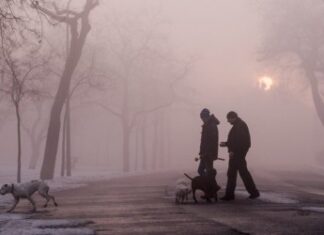 Párás, ködös nap vár ránk: az ízületek és a keringés is megsínyli a szombatot Párás, ködös nap vár ránk: az ízületek és a keringés is megsínyli a szombatot