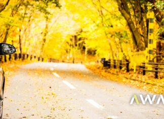 Mau tempo afeta Portugal: registado um choque em cadeia Mau tempo afeta Portugal: registado um choque em cadeia