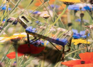 What Women Are Actually Getting Out of Those Menopause Retreats What Women Are Actually Getting Out of Those Menopause Retreats