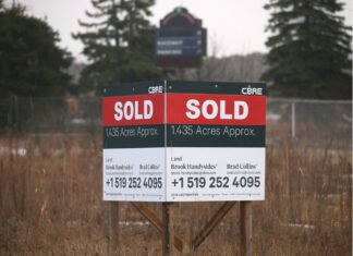 ERCA to remove invasive species from proposed Ojibway National Urban Park lands ERCA to remove invasive species from proposed Ojibway National Urban Park lands