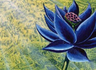 Lawsuit Claims Hasbro Misled Investors Regarding Sales of Controversial Magic: the Gathering Anniversary Set Lawsuit Claims Hasbro Misled Investors Regarding Sales of Controversial Magic: the Gathering Anniversary Set