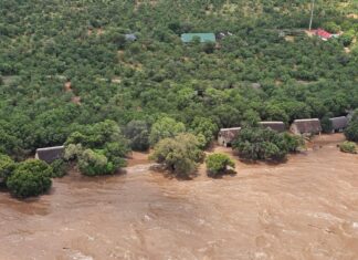 South Africa’s summer of extremes South Africa’s summer of extremes