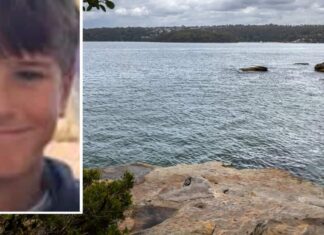 Twelve-year-old boy dies from injuries after Sydney shark attack Twelve-year-old boy dies from injuries after Sydney shark attack