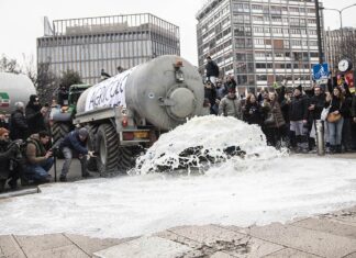 Prezzo del latte, l’accordo arriva a Bruxelles: cosa chiede l’Italia adesso Prezzo del latte, l’accordo arriva a Bruxelles: cosa chiede l’Italia adesso