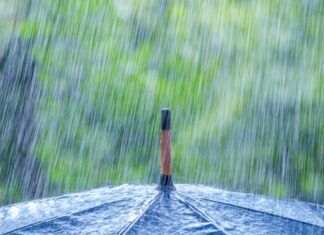 Pluies : voici les hauteurs enregistrées ces dernières 24 heures Pluies : voici les hauteurs enregistrées ces dernières 24 heures