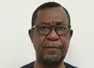 Olu Agunloye’s $6bn Mambilla Power Project Trial: What’s Next? Olu Agunloye’s $6bn Mambilla Power Project Trial: What’s Next?