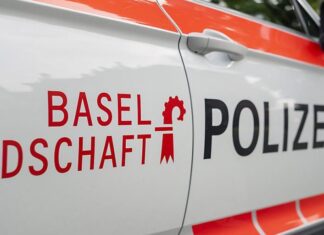 Zeugenaufruf im Baselbiet: Unbekannter Täter greift Spaziergängerin im Reinacher Wald an Zeugenaufruf im Baselbiet: Unbekannter Täter greift Spaziergängerin im Reinacher Wald an