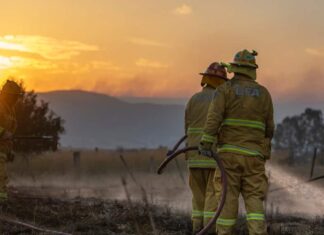 Fires continue to burn as huge swathes of southeast face severe heatwave warnings Fires continue to burn as huge swathes of southeast face severe heatwave warnings